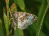 324021 – Photo : Florian ALONSO – France (69)